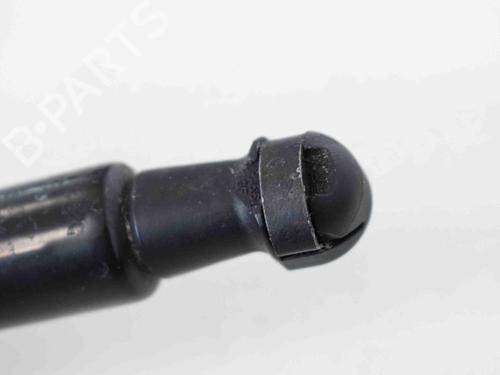 Used Tailgate lift support AUDI A3 Convertible (8V7, 8VE) 1.8 TFSI (170 hp) 19943406