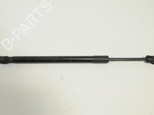 Hood lift support BMW X5 (F15, F85) xDrive 40 d | BP14815716C139 