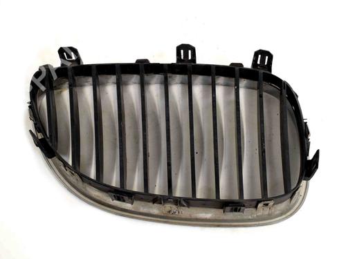 Grille BMW 5 Touring (E61) 530 d | BP29638591C40 