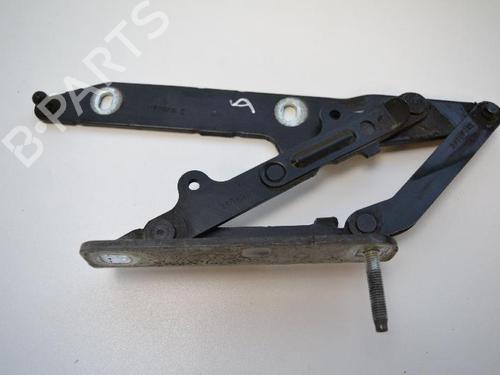 Used Hinge/Door check strap LAND ROVER RANGE ROVER SPORT I (L320) 3.0 D 4x4 (249 hp) 14811671