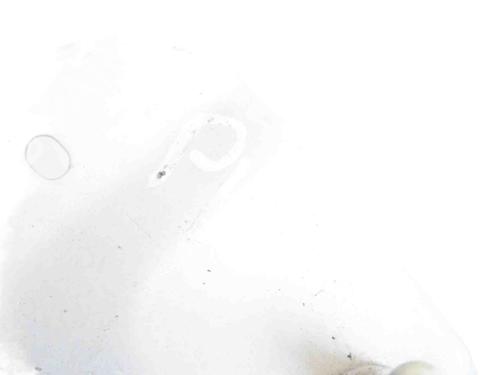 Other LAND ROVER RANGE ROVER VELAR (L560) 2.0 D180 TD4 4x4 | BP13934645O1