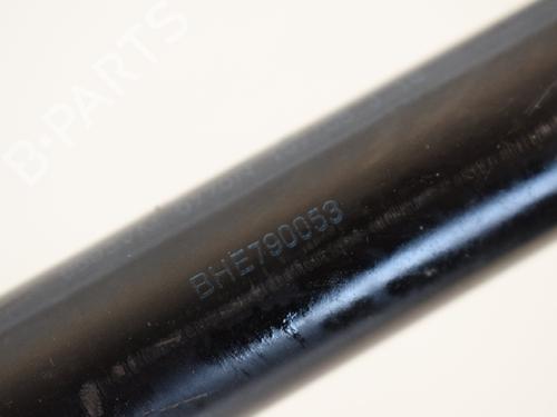 Tailgate lift support LAND ROVER RANGE ROVER SPORT I (L320) 2.7 D 4x4 | BP14768664C138 
