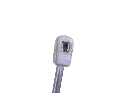 Hood lift support SAAB 9-3 (YS3F, E79, D79, D75) 1.9 TiD | BP29337531C139 