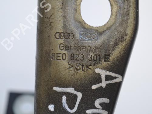 Hinge/Door check strap AUDI A4 B7 (8EC) 2.0 TFSI | BP19942122C146 