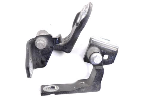 Hinge/Door check strap FORD FOCUS III 1.0 EcoBoost | BP14790911C146 