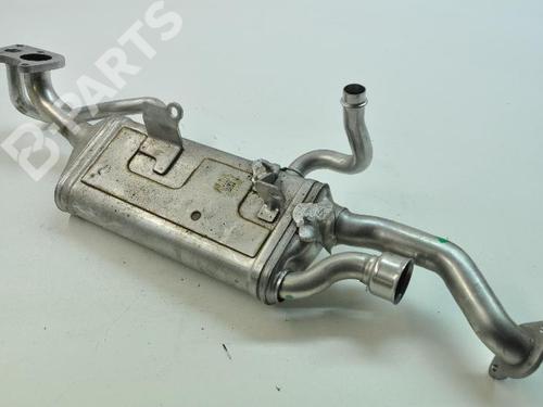 Egr MERCEDES-BENZ S-CLASS (W222, V222, X222) S 350 d (222.020, 222.120) | BP7811965M69 