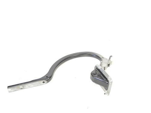 Hinge/Door check strap BMW 5 (F10) 520 d | BP14785058C146