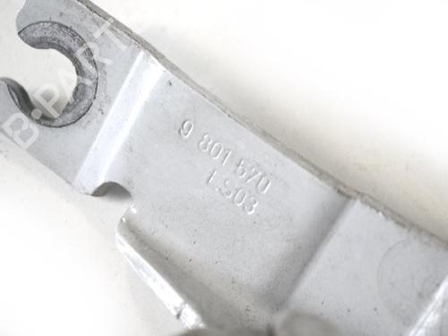 Hinge/Door check strap MINI MINI COUNTRYMAN (R60) Cooper SD | BP14818568C146 