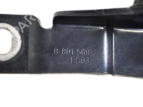 Hinge/Door check strap MINI MINI COUNTRYMAN (R60) Cooper SD ALL4 | BP14785174C146 