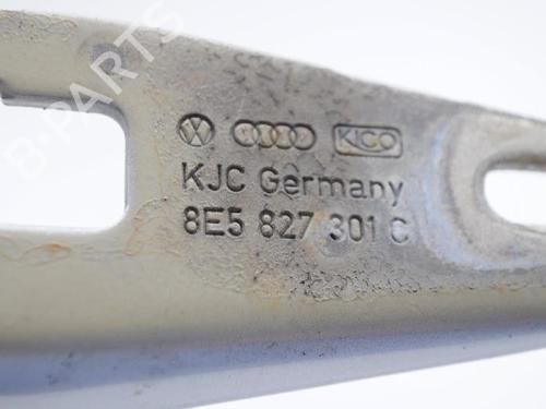 Hinge/Door check strap AUDI A4 B7 (8EC) 2.0 TDI 16V | BP14799273C146 