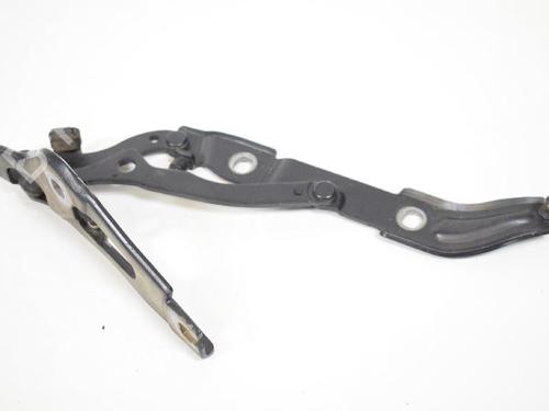 Hinge/Door check strap BMW 3 (E90) 320 d | BP14814959C146 