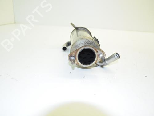Egr CHEVROLET CAPTIVA (C100, C140) 2.0 D | BP19941389M69 