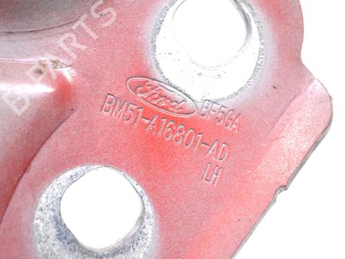 Hinge/Door check strap FORD FOCUS III 1.5 TDCi | BP14783815C146 