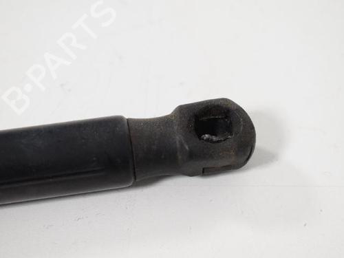 Hood lift support LAND ROVER FREELANDER 2 (L359) 2.2 TD4 4x4 | BP14815921C139 