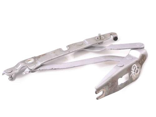 Used Hinge/Door check strap AUDI A4 B7 (8EC) 2.0 TDI 16V (140 hp) 14773669