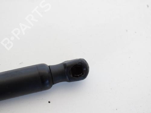Tailgate lift support LAND ROVER RANGE ROVER SPORT I (L320) 2.7 D 4x4 | BP14768663C138 