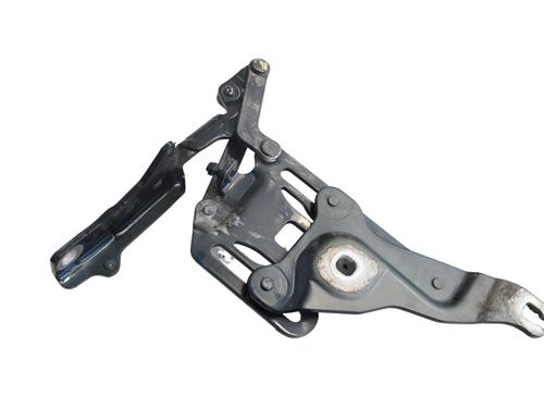 Hinge/Door check strap BMW X6 (E71, E72) xDrive 40 d | BP16262146C146 