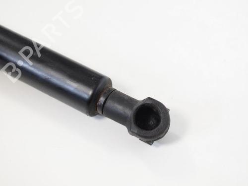 Hood lift support BMW 3 Coupe (E92) 320 i | BP14818361C139 