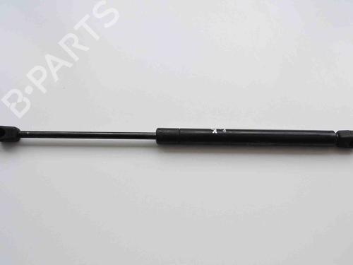 Amortiguador capot JAGUAR X-TYPE I (X400) 2.0 D (130 hp) 19941868