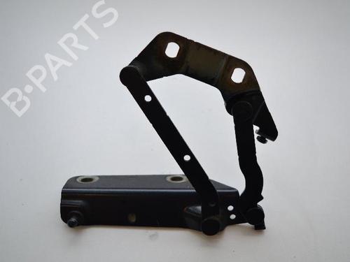 Hinge/Door check strap LAND ROVER FREELANDER 2 (L359) 2.2 TD4 4x4 | BP14812780C146 