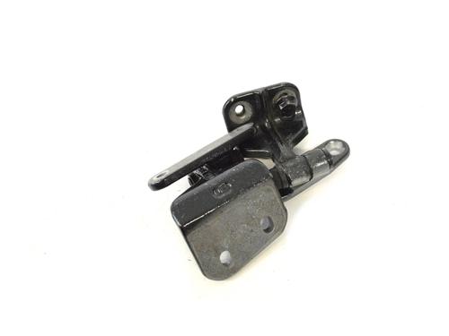 Hinge/Door check strap MERCEDES-BENZ S-CLASS (W221, V221) S 350 CDI (221.022, 221.122) | BP14789822C146 