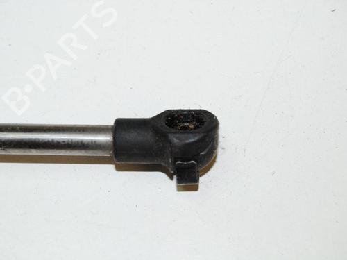Hood lift support VW PHAETON (3D1, 3D2, 3D3, 3D4, 3D6, 3D7, 3D8, 3D9) 3.0 V6 TDI 4motion | BP14811284C139 