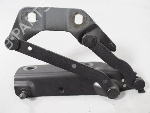 Hinge/Door check strap LAND ROVER FREELANDER 2 (L359) 2.2 TD4 4x4 | BP14815924C146 