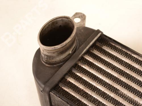 Intercooler LAND ROVER RANGE ROVER SPORT I (L320) 2.7 D 4x4 | BP7502484M30 