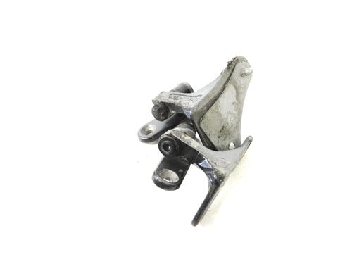 Hinge/Door check strap MERCEDES-BENZ S-CLASS (W221, V221) S 350 CDI (221.022, 221.122) | BP14789825C146 