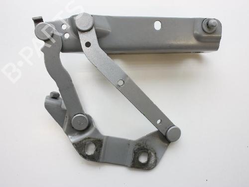Used Hinge/Door check strap LAND ROVER FREELANDER 2 (L359) 2.2 TD4 4x4 (160 hp) 14802712