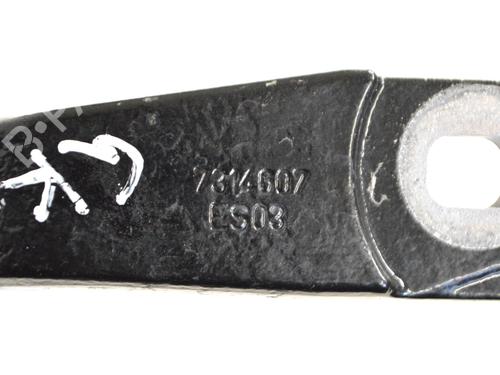 Hinge/Door check strap BMW 4 Gran Coupe (F36) 420 d | BP14784369C146 