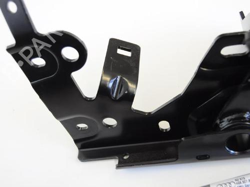 Hinge/Door check strap AUDI A7 Sportback (4GA, 4GF) 3.0 TDI quattro | BP14811216C146 