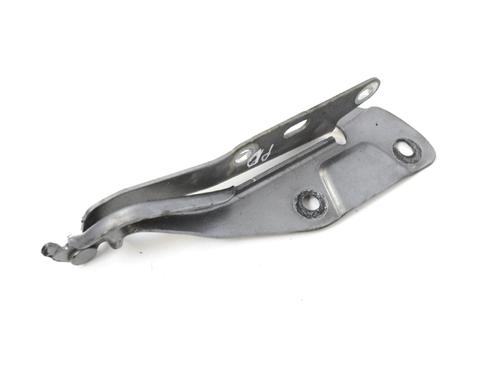 Hinge/Door check strap JAGUAR S-TYPE II (X200) 2.7 D | BP14770364C146 