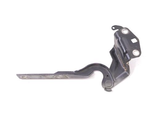 Hinge/Door check strap VW CC B7 (358) 2.0 TDI | BP14773205C146 