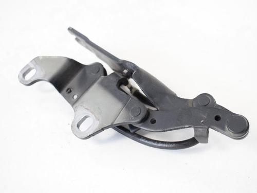 Hinge/Door check strap BMW 3 (E90) 318 i | BP14817383C146 