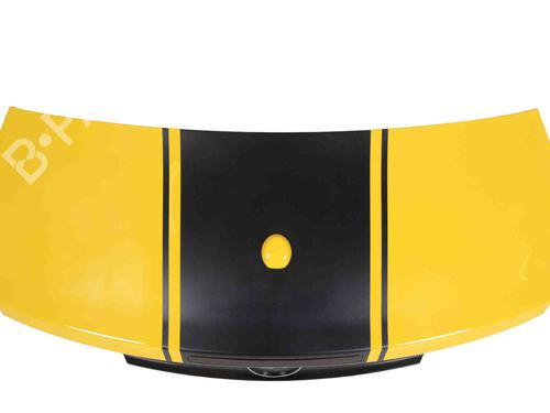 Tailgate FORD USA MUSTANG Convertible 5.0 V8 | BP29752417C6 
