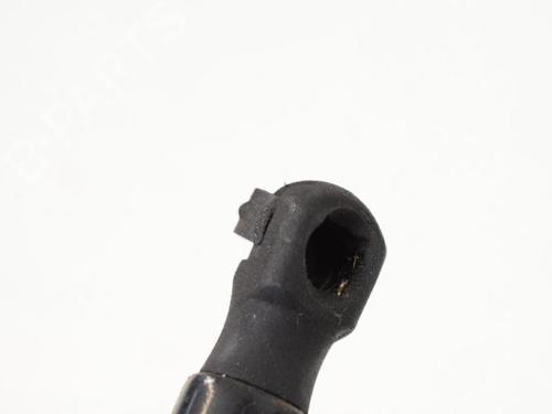 Hood lift support LAND ROVER RANGE ROVER EVOQUE (L538) 2.2 D 4x4 | BP14767475C139 