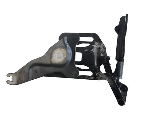 Hinge/Door check strap BMW X6 (E71, E72) xDrive 40 d | BP16262146C146 