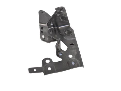 Hinge/Door check strap AUDI A7 Sportback (4GA, 4GF) 3.0 TFSI quattro | BP16721591C146