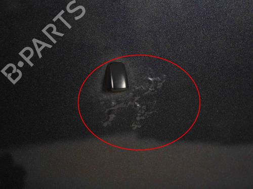 Hood DODGE RAM 1500 Pickup (DJ, DS) 5.7 4x4 | BP29730275C1