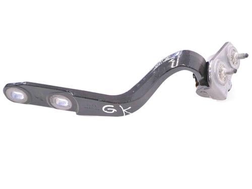 Used Hinge/Door check strap BMW 4 Gran Coupe (F36) 420 d (190 hp) 14781510
