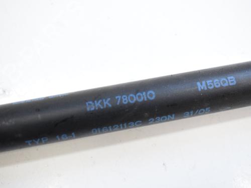 Hood lift support LAND ROVER RANGE ROVER SPORT I (L320) 2.7 D 4x4 | BP14768662C139 