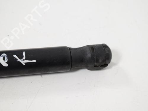 Hood lift support LAND ROVER FREELANDER 2 (L359) 2.2 TD4 4x4 | BP14815923C139 