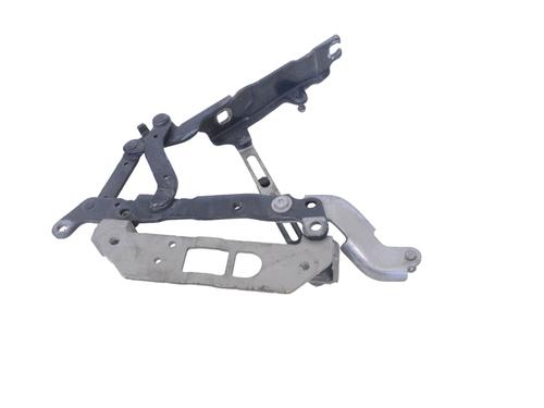 Hinge/Door check strap BMW 5 (F10) 520 d | BP14805411C146