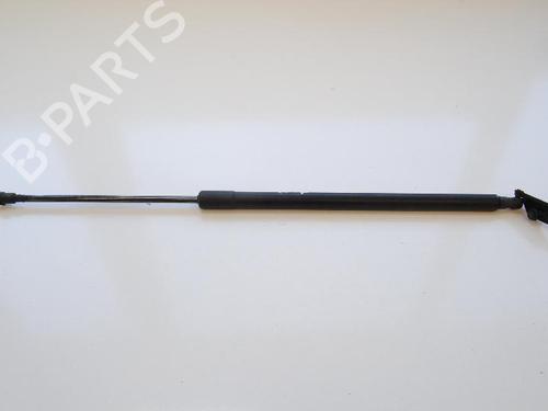Used Tailgate lift support NISSAN X-TRAIL II (T31) 2.0 dCi 4x4 (150 hp) 14808802