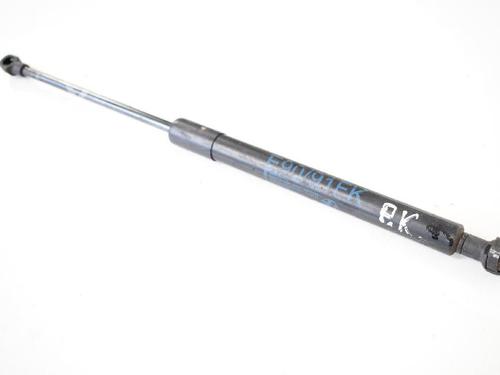 Hood lift support BMW 3 (E90) 318 i | BP14817381C139