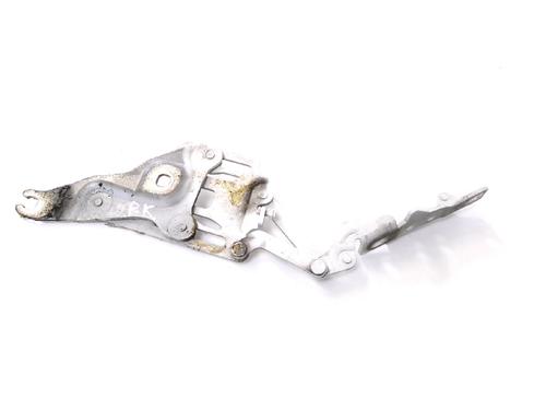 Hinge/Door check strap BMW X6 (E71, E72) M 50 d | BP14774398C146 