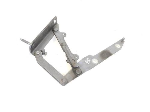 Hinge/Door check strap LAND ROVER RANGE ROVER SPORT I (L320) 3.0 D 4x4 | BP14767258C146 