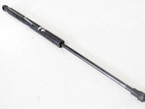 Used Hood lift support LAND ROVER RANGE ROVER SPORT I (L320) 3.6 D 4x4 (272 hp) 14818291