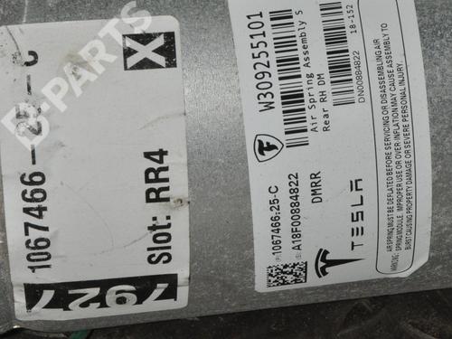 Left rear shock absorber TESLA MODEL S (5YJS) 75D AWD | BP8863418M18 